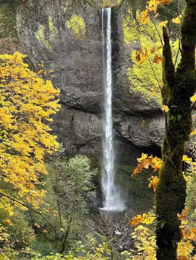 Latourell Falls framed by fall foliage