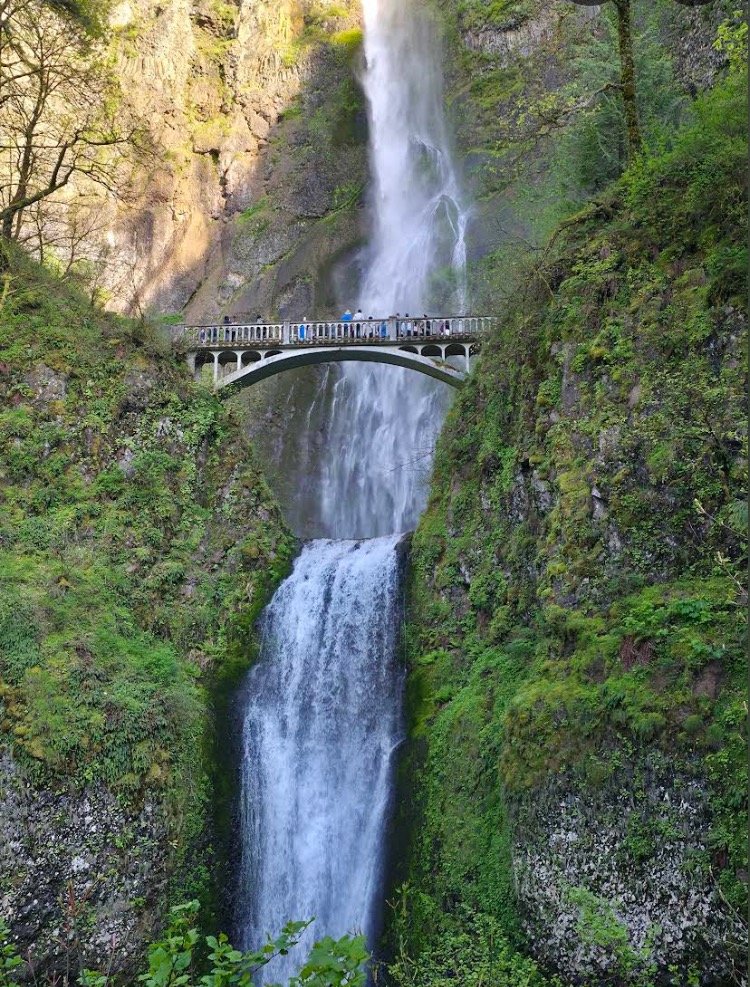 Multnomah Falls and Benson Bridge