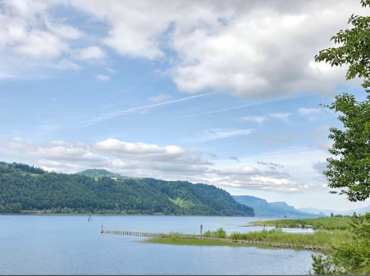 Columbia River from Rooster Rock